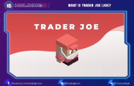 What is Trader Joe (JOE)? One-stop-shop decentralized trading on Avalanche