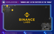 “Binance Labs”: In the footsteps of the “whale”